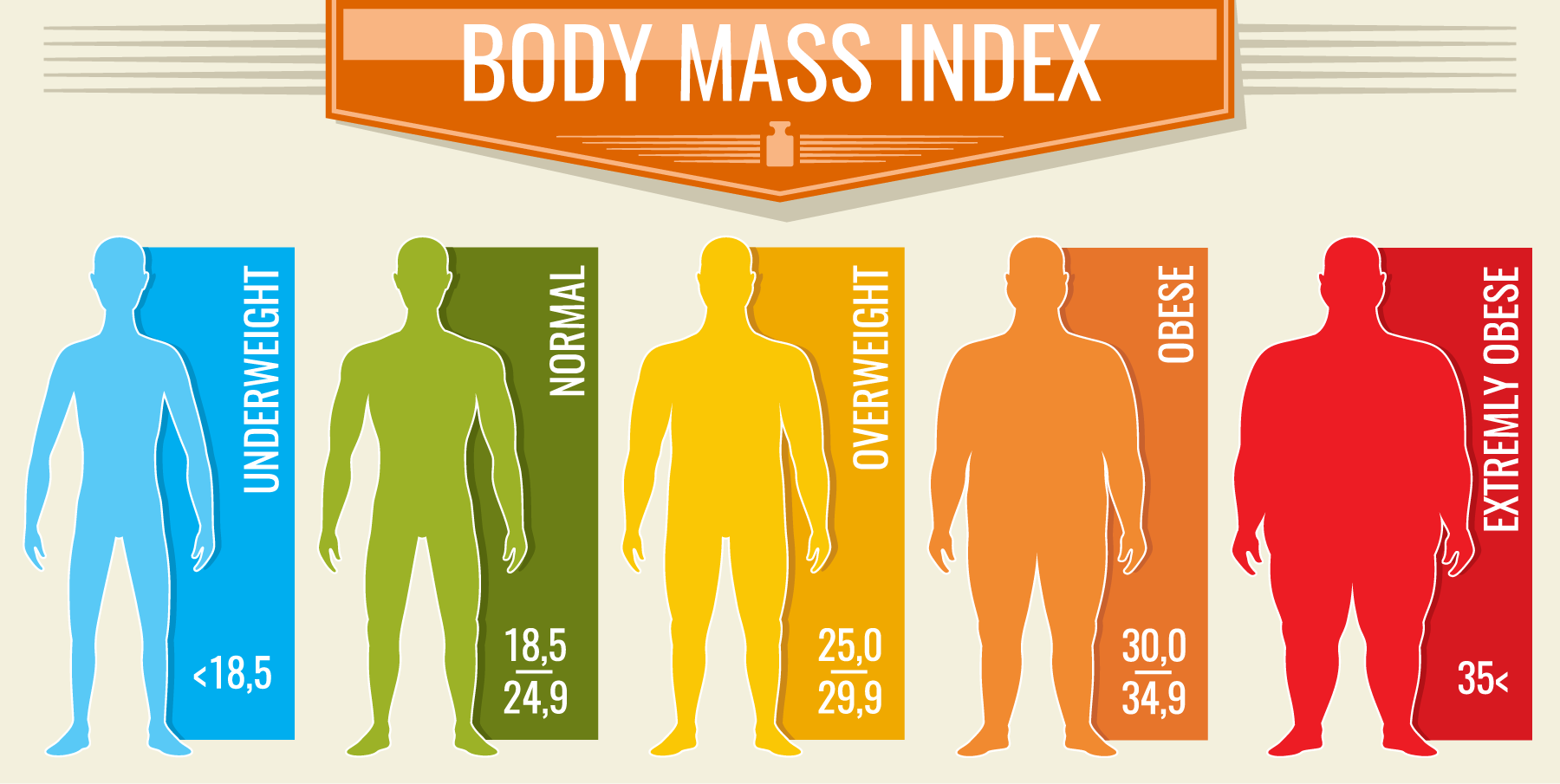 Body fat percentage vs BMI