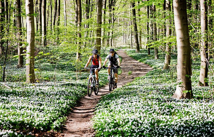 Cycling outdoors in the afternoon