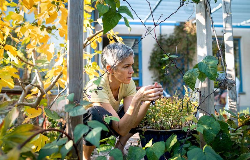 4 Mental Health Benefits of Gardening