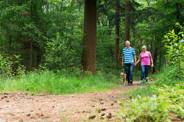 Tick borne illness outside