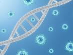 Gene Variants Involved in Serious COVID-19 Complications, Study