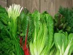 eating leafy greens help reduce dementia risk