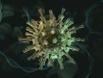 Do the COVID-19 Vaccines Protect Against New Coronavirus Variants?